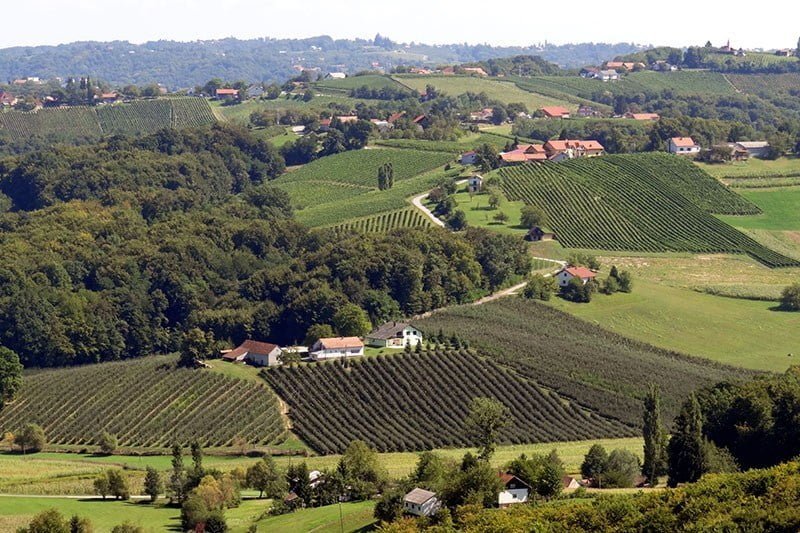 Pročitajte više o članku Decanter World Wine Awards: Međimurskim vinarima 25 medalja